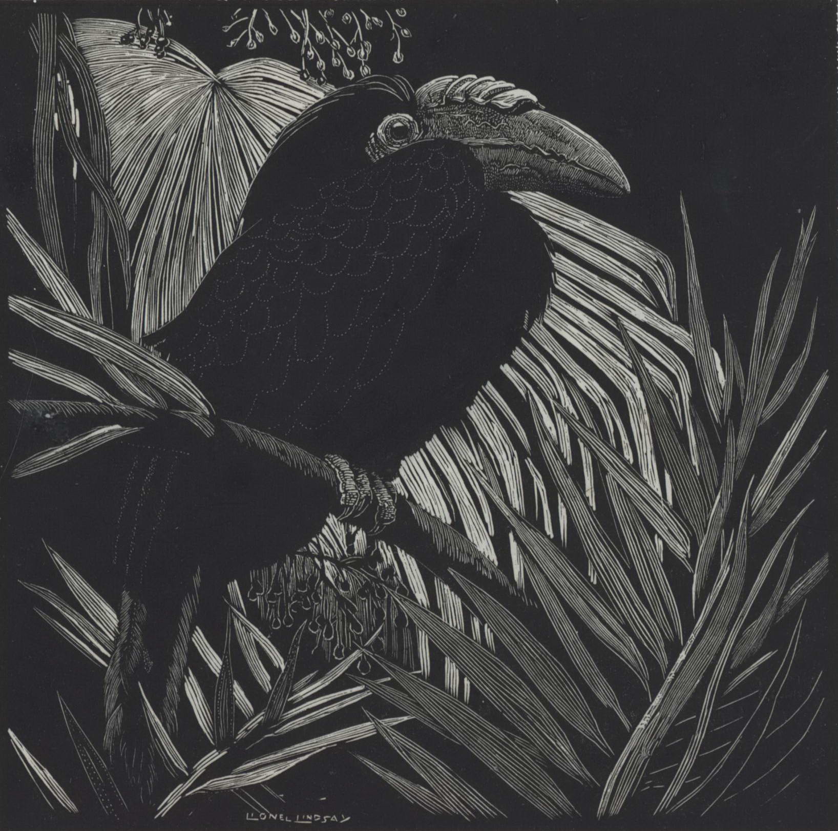 The Hornbill | Lionel Lindsay, 1874–1961 Australian