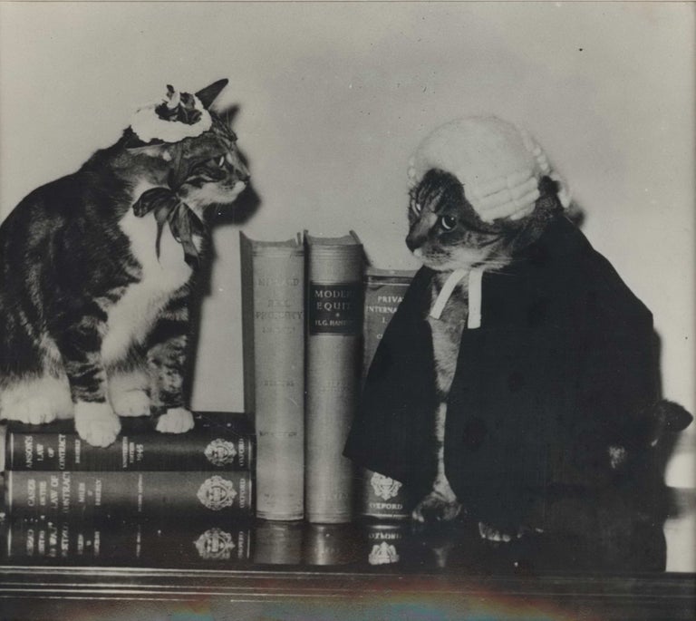 Item #CL198-159 Pussito and Vaska Brodsky [Cats Of Law]. Marjorie Proctor-Brodsky, 1898–1985 Aust.