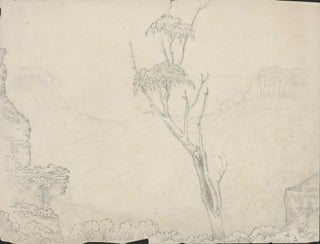 [Views Of The Blue Mountains, NSW]