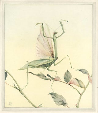Item #CL199-88 Fabre’s Book Of Insects [Illustrations By E.J. Detmold