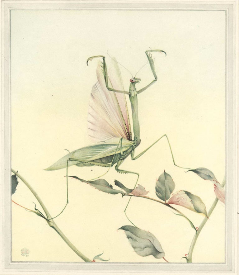Item #CL199-88 Fabre’s Book Of Insects [Illustrations By E.J. Detmold]