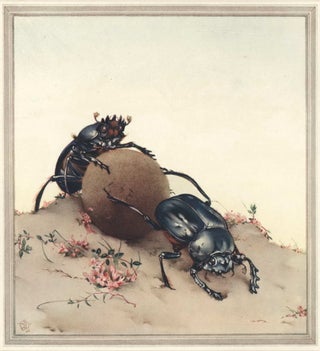 Fabre’s Book Of Insects [Illustrations By E.J. Detmold]