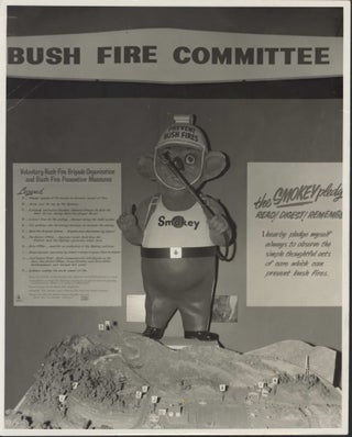 NSW Bush Fire Committee Promotional Materials