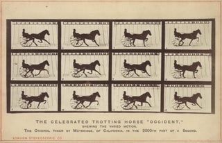 Item #CL206-15 The Celebrated Trotting Horse “Occident”. Eadweard Muybridge,...