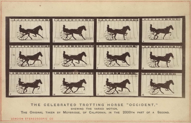 Item #CL206-15 The Celebrated Trotting Horse “Occident”. Eadweard Muybridge, 1830–1904 Brit.